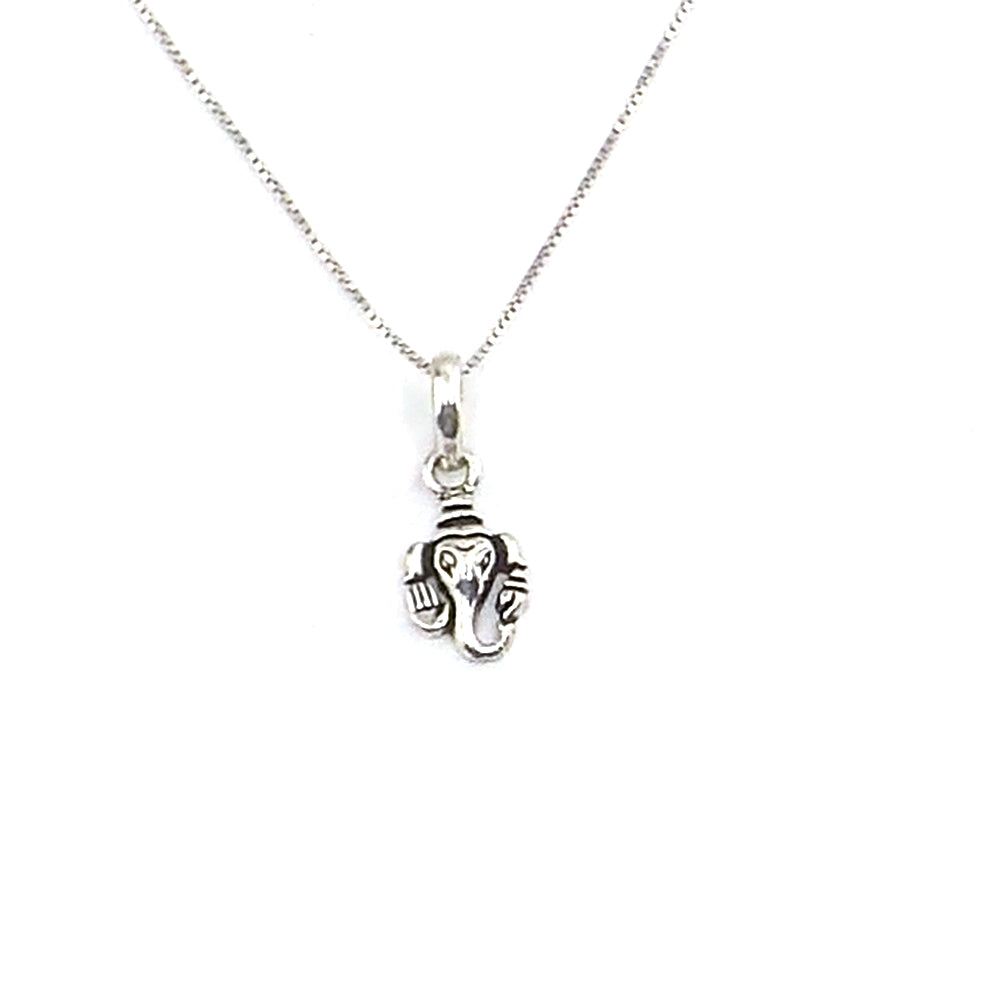 Colgante de plata de ley de Ganesha de 20x10mm aprox. con cadena de 45cm