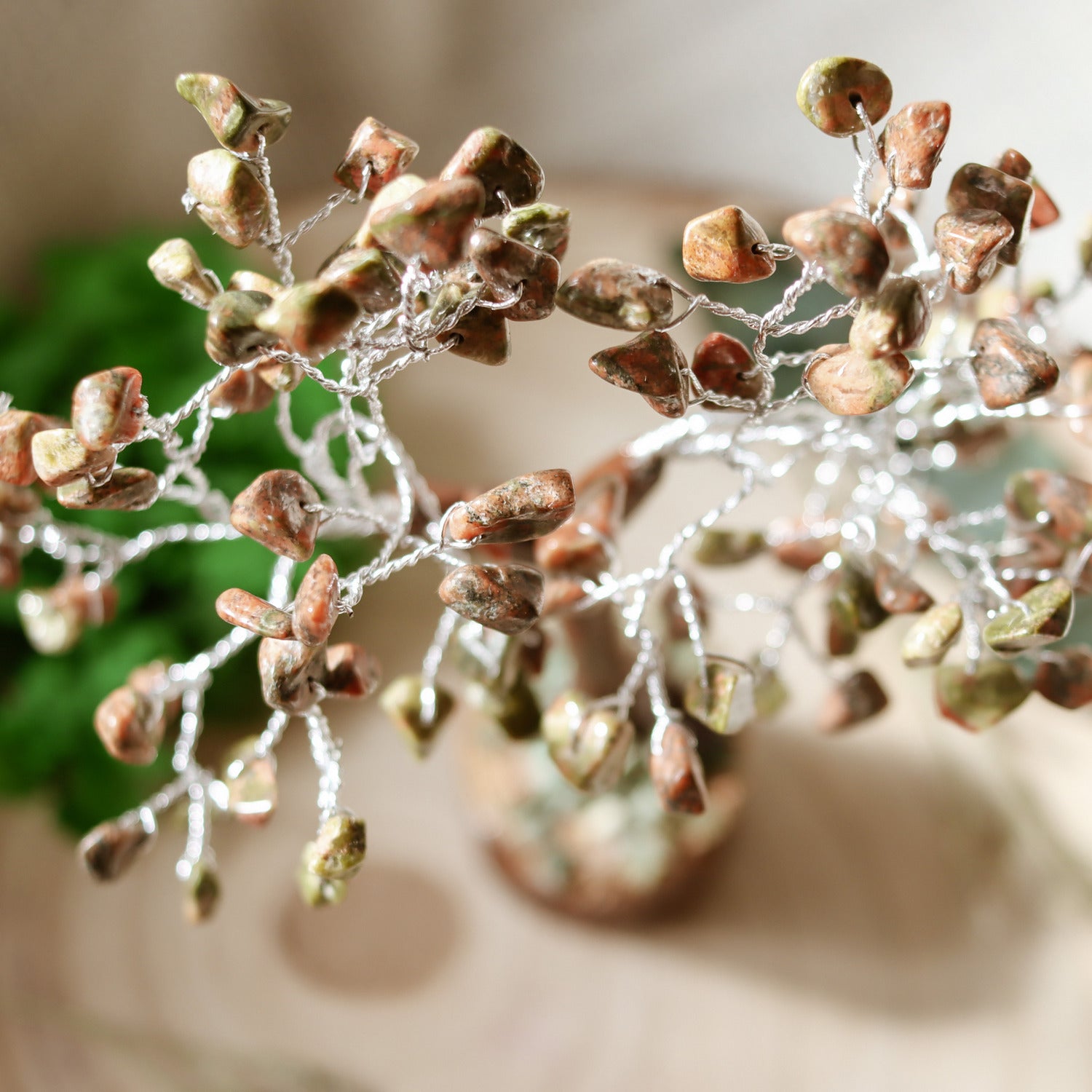 Àrbol De Feng Shui De Unakita