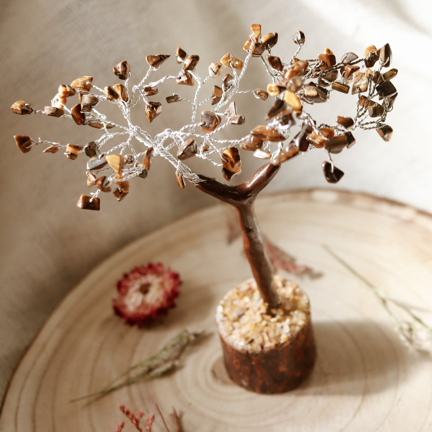Àrbol De Feng Shui De Unakita