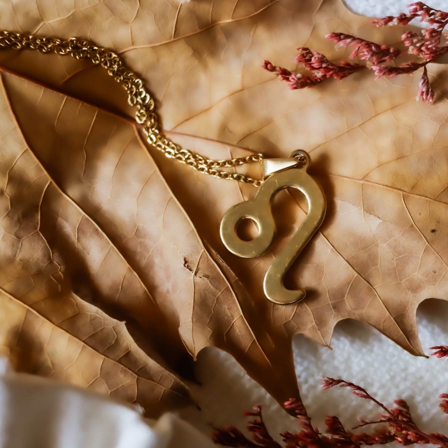 Colgante de acero inoxidable dorado con forma del signo del zodiaco Leo de 28mm