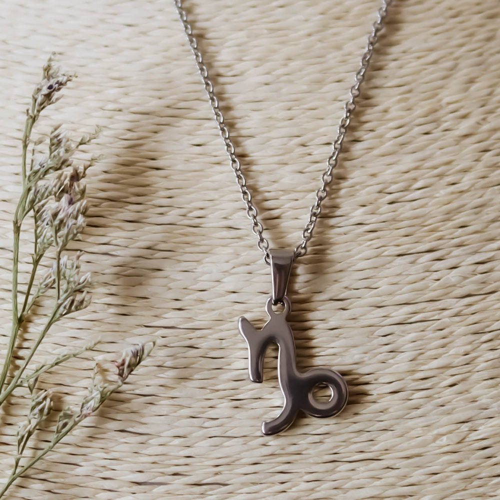 Colgante de acero inoxidable con forma del Signo del zodiaco Capricornio de 20mm
