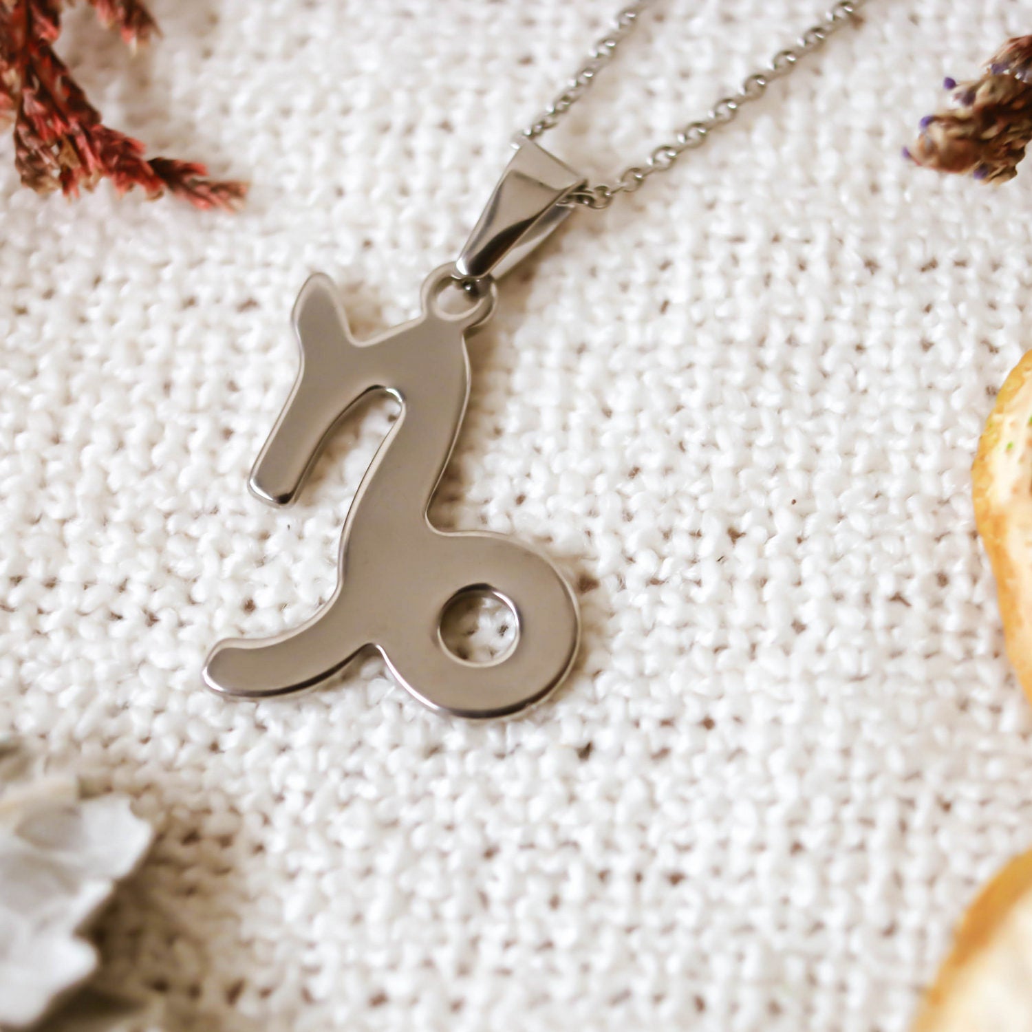 Colgante de acero inoxidable con forma del Signo del zodiaco Capricornio de 28mm