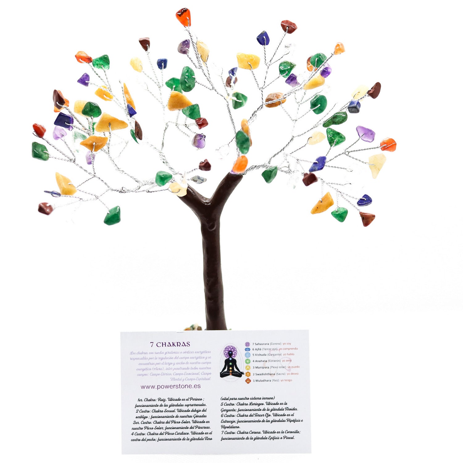 Àrbol De Feng Shui de los 7 Chakras
