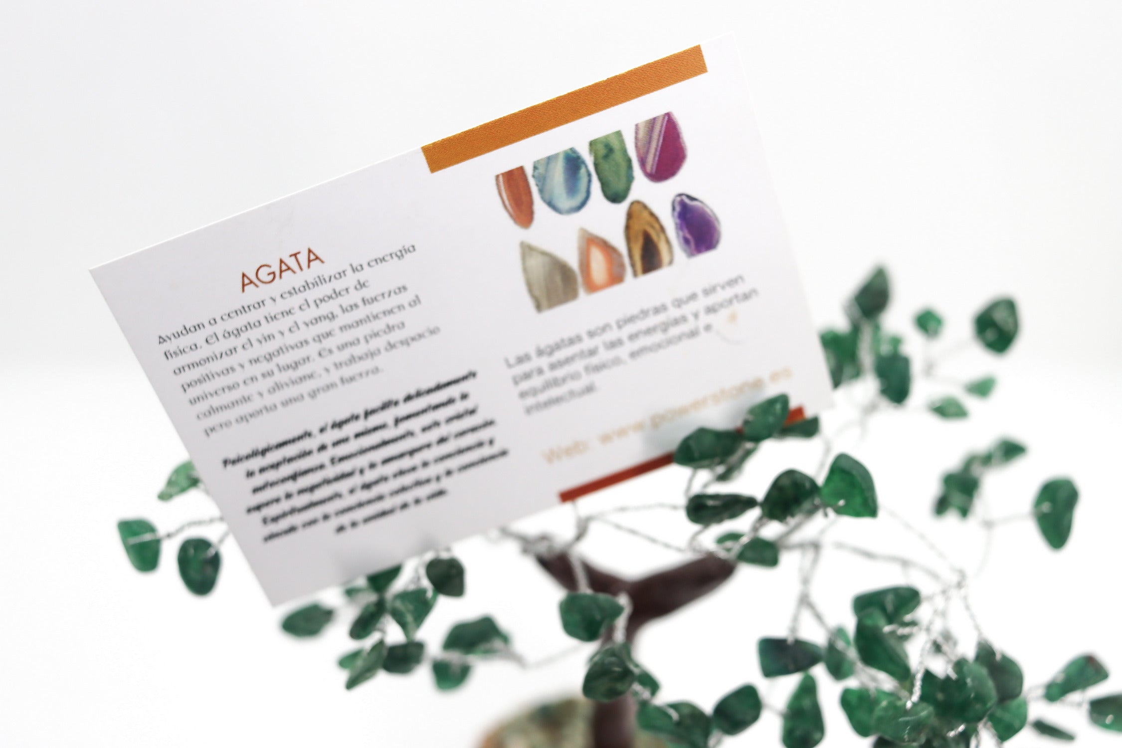 Àrbol de Feng Shui de Agata Verde