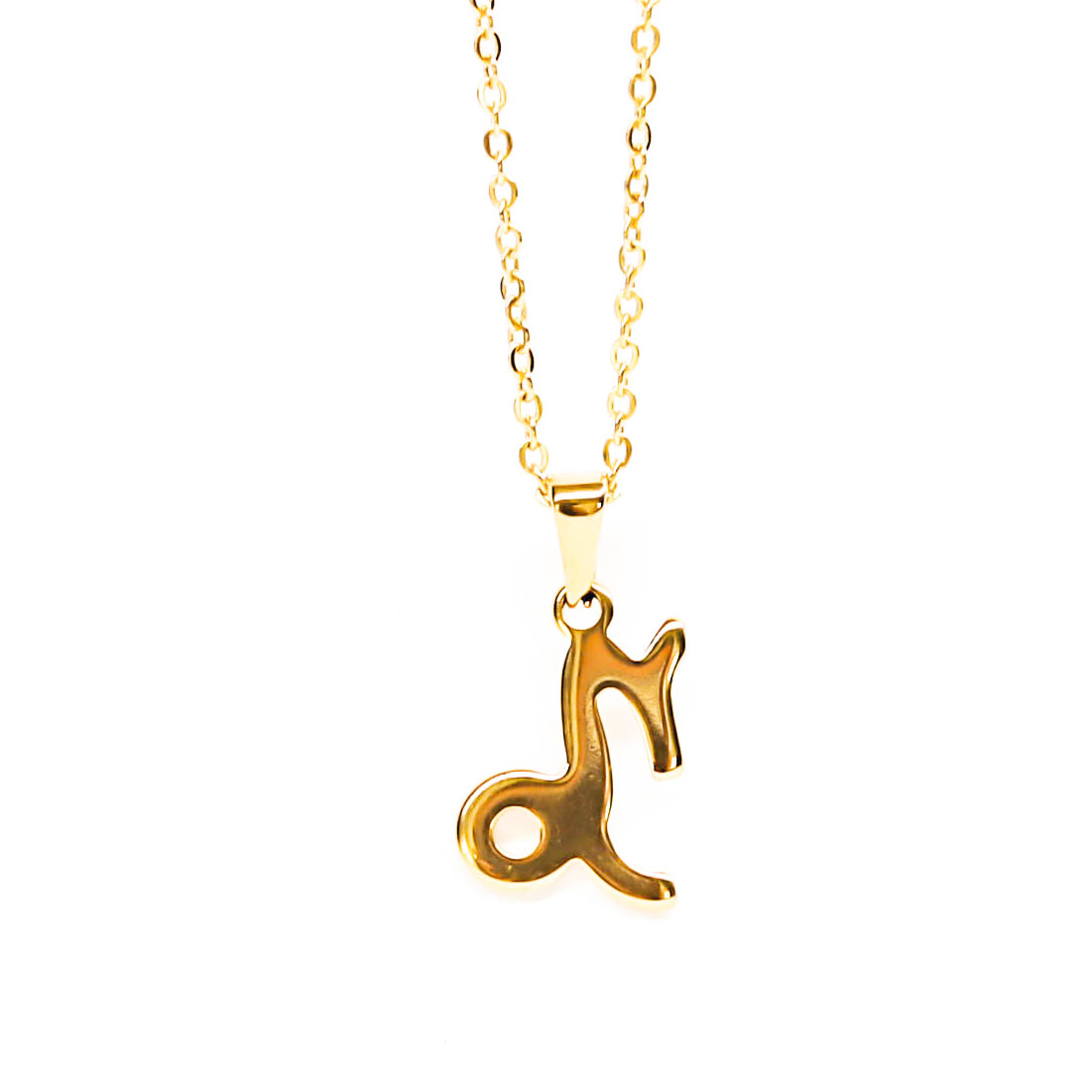 Colgante de acero inoxidable dorado con forma del signo del zodiaco Capricornio de 20mm